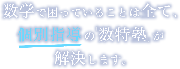 数特塾 数学で困っていることは全て解決します